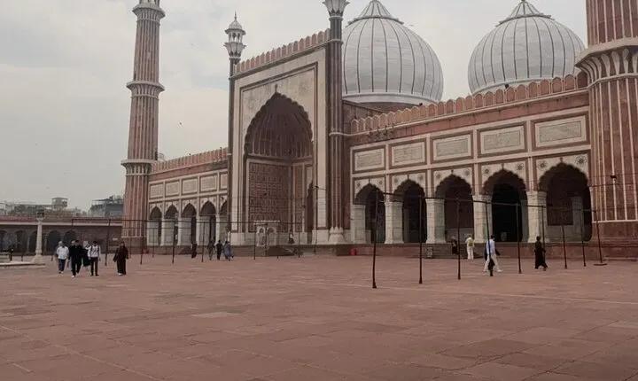 Tour to Old Delhi with Guide and Pickup