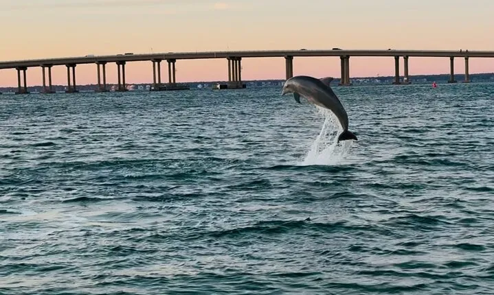 Destin Boat Ride with Cruise Destin Bay