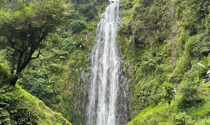 Materuni Waterfall and Coffee Plantation Half Day Tour