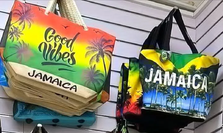Last Vacation Day Discounted Shopping & Ride to the Airport