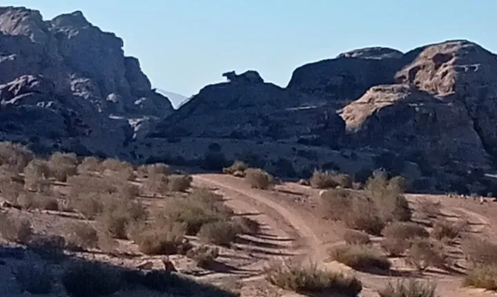 Petra Back-Road Trail and Hike