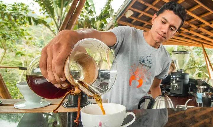 From Seed to Cup - Coffee Experience at La Palma y El Tucan