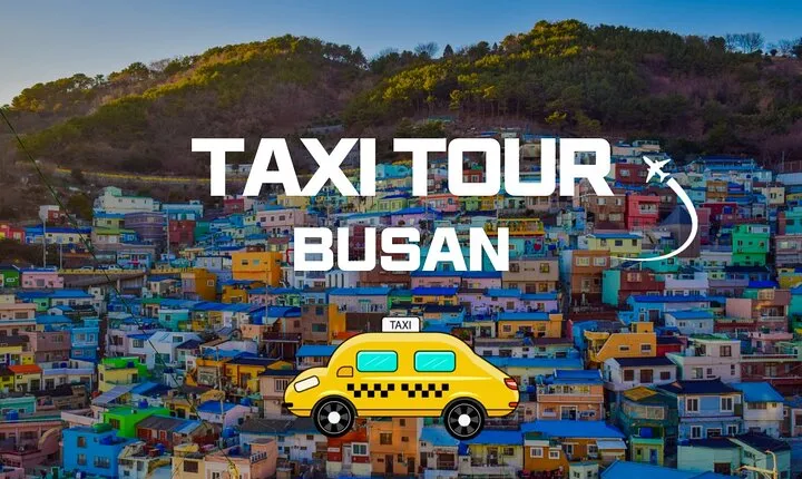 Busan Private Taxi Car Charter Tour