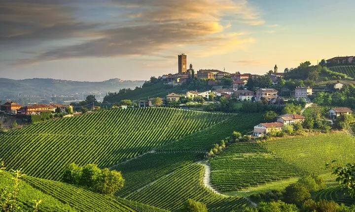 Barolo & Barbaresco Wine Tasting Tour–Alba & Piedmont from Milan