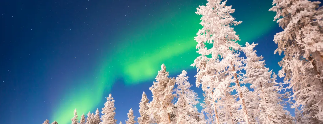 Hunting Northern Lights with Lappish Barbecue