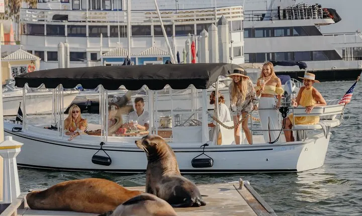 Luxury Shared E-Boat Cruise with Wine, Charcuterie & Sea Lions Spotting