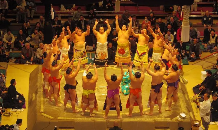 Tokyo Sumo Wrestling Tournament Experience 