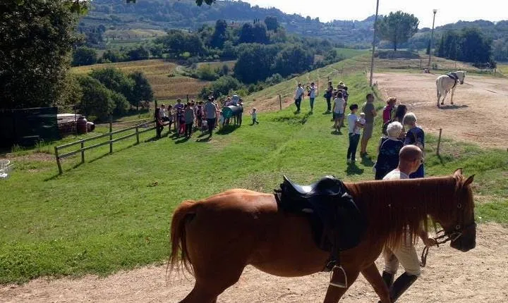Wine tasting and horseback riding in Montepulciano, in Tuscany from Rome