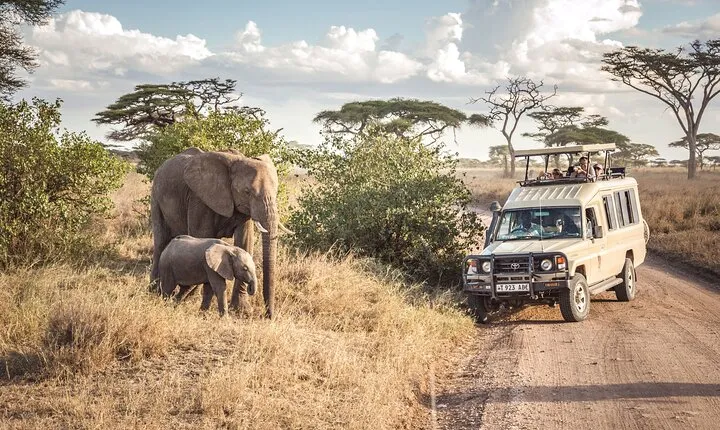5 Days The Big Five Tanzania Adventure Safari