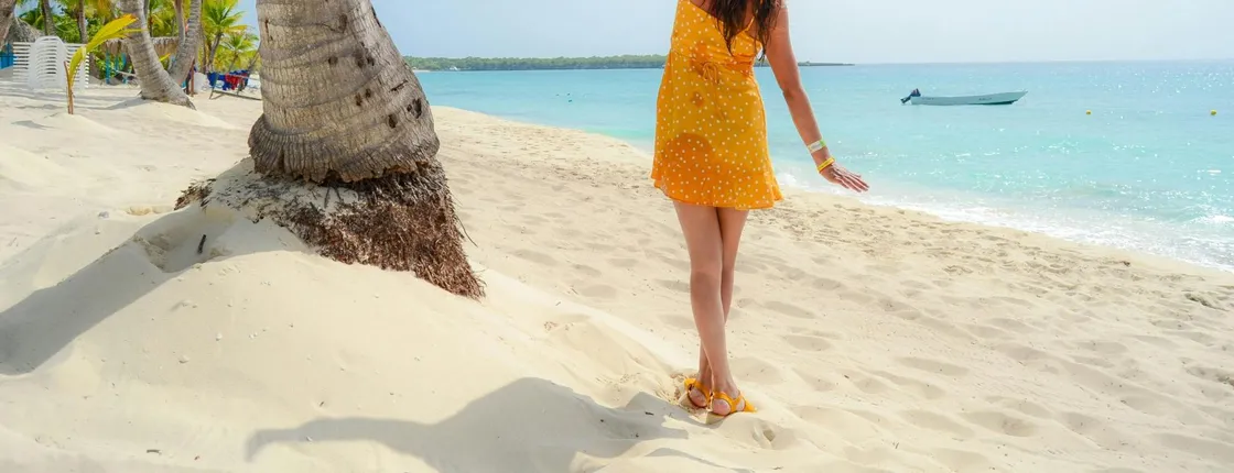 Catalina Island boat tour with snorkelling and Dominican lunch