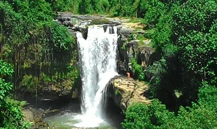 Bali Hindu temple, Rice terrace, Waterfall -All Inclusive