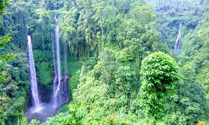 Private Tour The Magical Sekumpul Waterfall in The North of Bali