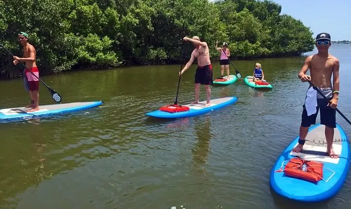 Full-Day Paddle Board Rental in Naples, Florida