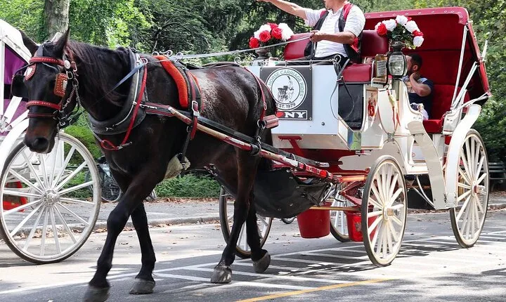 Central Park Carriage Ride w/ Drop Off @ Tavern On Green (45 min)