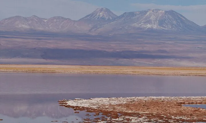 Tour to Laguna Cejar, Ojos del Salar and Laguna Tebinquiche