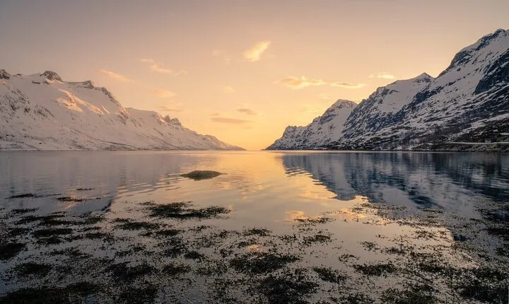 Discover the Fjords of Kvaloya - a roadtrip along fjords and fishing villages