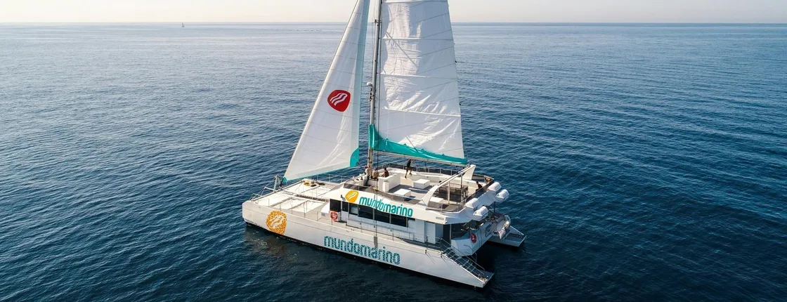 Sunset catamaran cruise in the Bay of Malaga with cava
