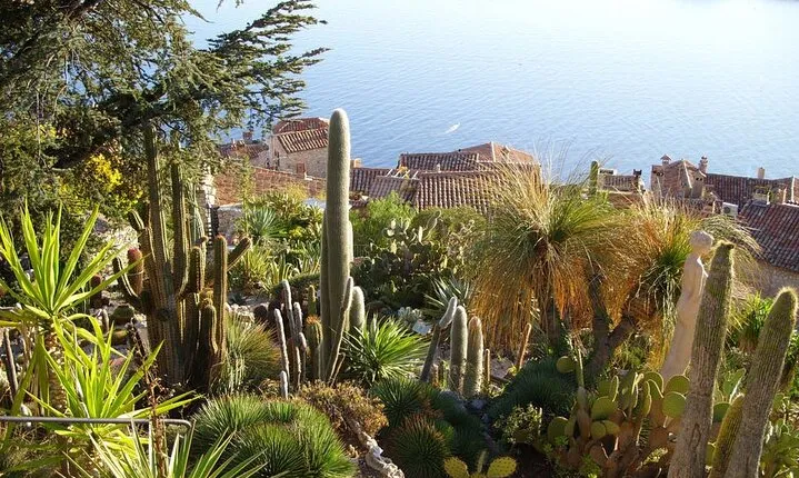 Full Day Tour in Eze Monaco and Monte-Carlo from Nice