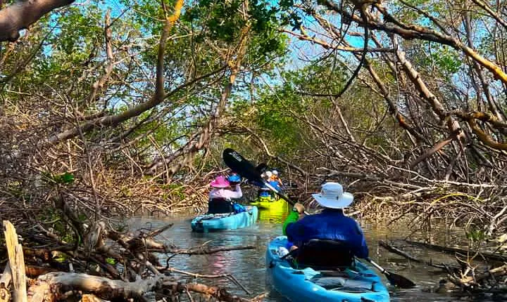 Elite Hobie Kayak Experience: Ultimate Premium Eco Adventure!