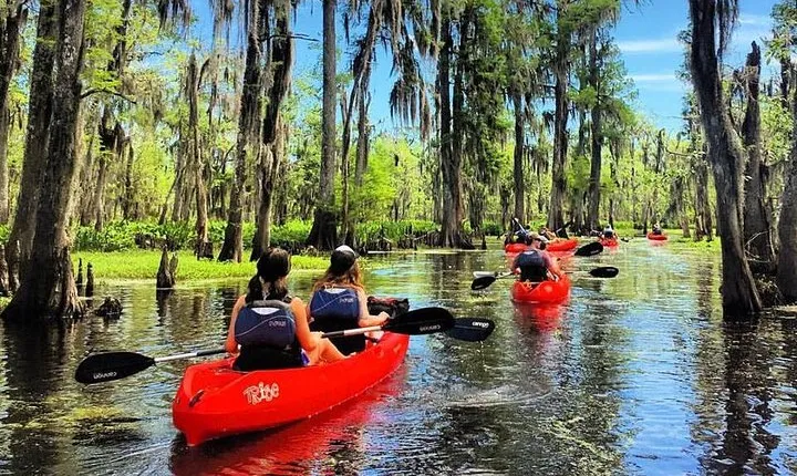 Small-Group Manchac Swamp Kayak Tour