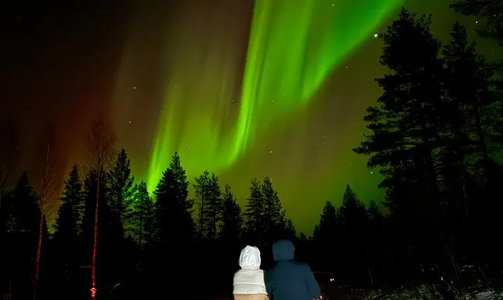  Northern Lights Hunting of Rovaniemi 