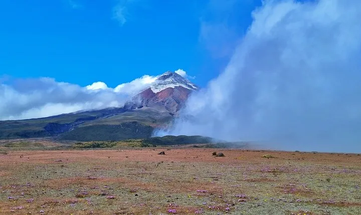 Full Day Tour to Cotopaxi Volcano from Quito