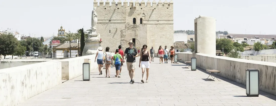 Córdoba full-day trip from Seville