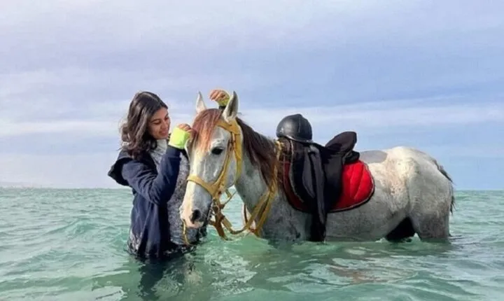 Horse Ride at Nabq Bay Beach With Transfers - Sharm El Sheikh