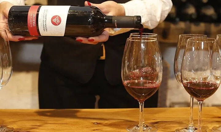 Full-Day Private Wine Tour in Kakheti Region with Wine tasting