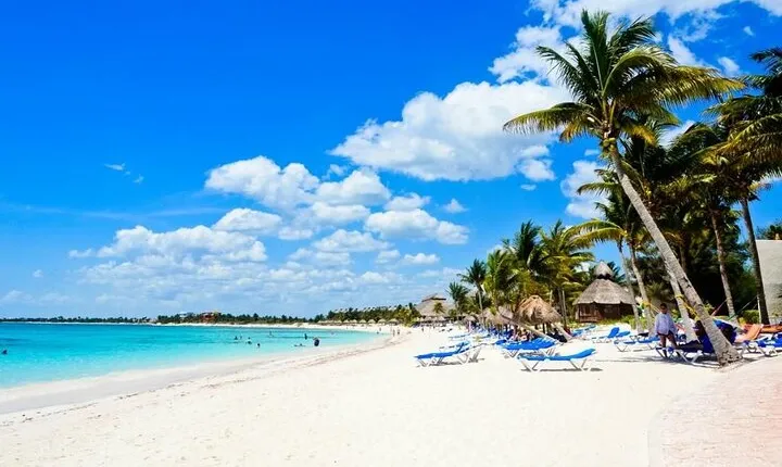 Saona Island Catamaran For Small Group Hotel Pick Food Drink