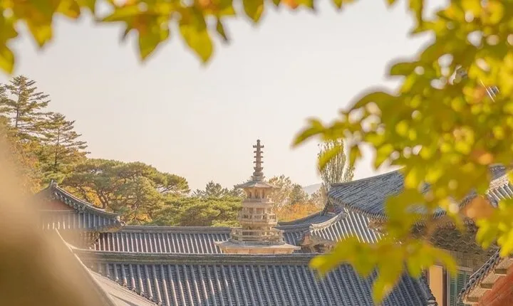 Gyeongju Private Tour : Uncover the Eternal Beauty