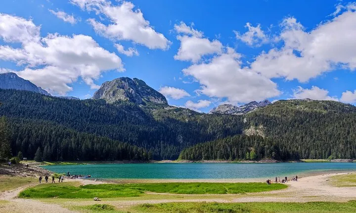 Montenegro: Black Lake and Tara Canyon Day Trip