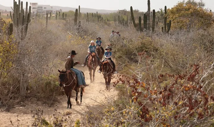 Horseback Riding Tour in Cabo San Lucas