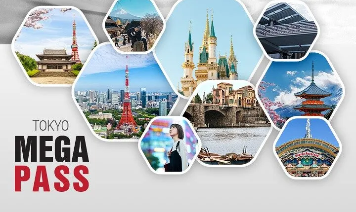 Tokyo MegaPass Deluxe Top Attractions Sightseeing