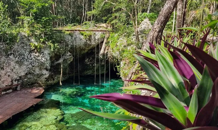 Tulum, Cenote Mariposa & Playa del Carmen from Cancun Luxury Tour