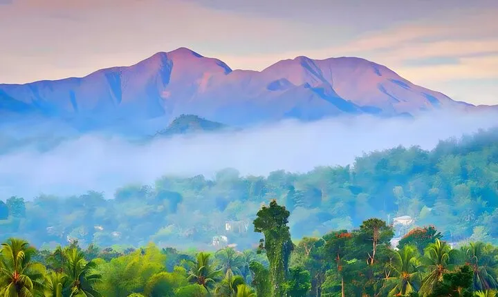 Private Blue Mountain tour from Ocho Rios