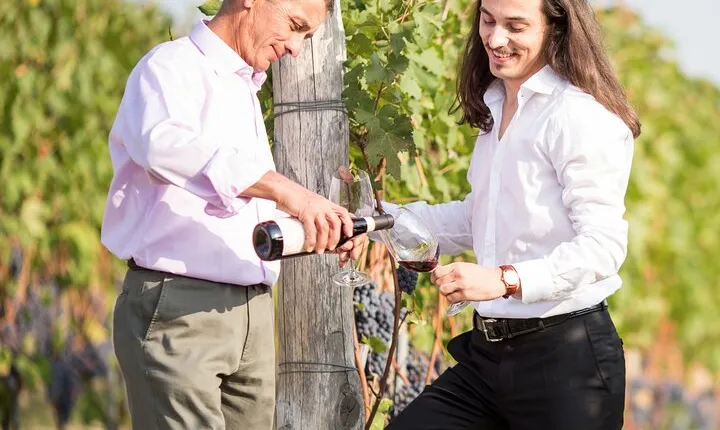 Piedmont Winery Tour: Taste Barolo, Barbaresco & Traditional Food