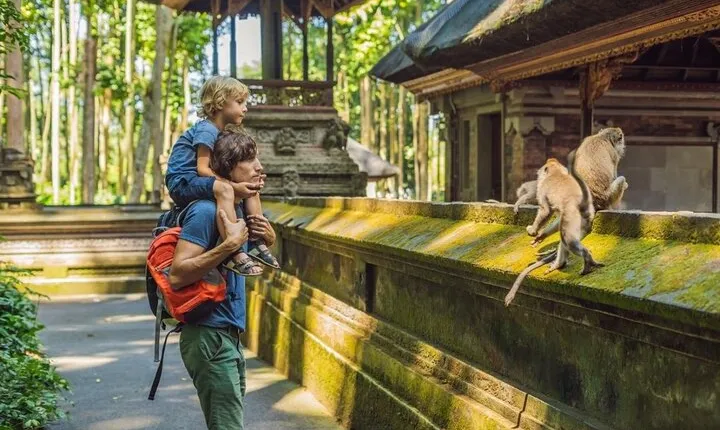 Best of Ubud private Day Tour