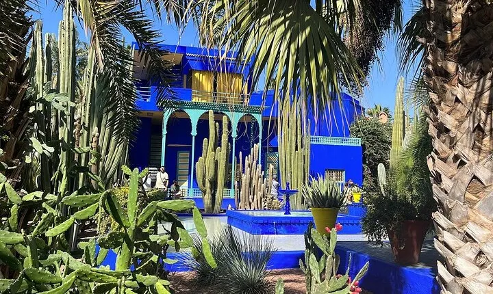 Marrakech's Hidden Gem: Majorelle Garden & Camel Safari Joy