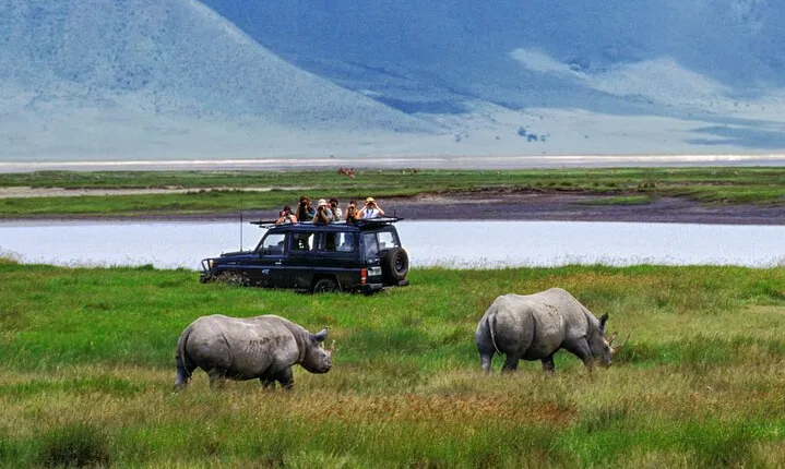 6-Days Private Midrange Safari: Tarangire, Serengeti & Ngorongoro