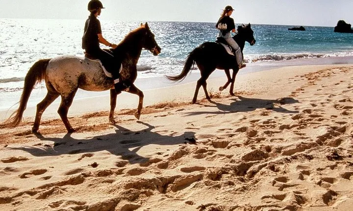 Krabi Horse Riding at Ao Nam Mao Beach