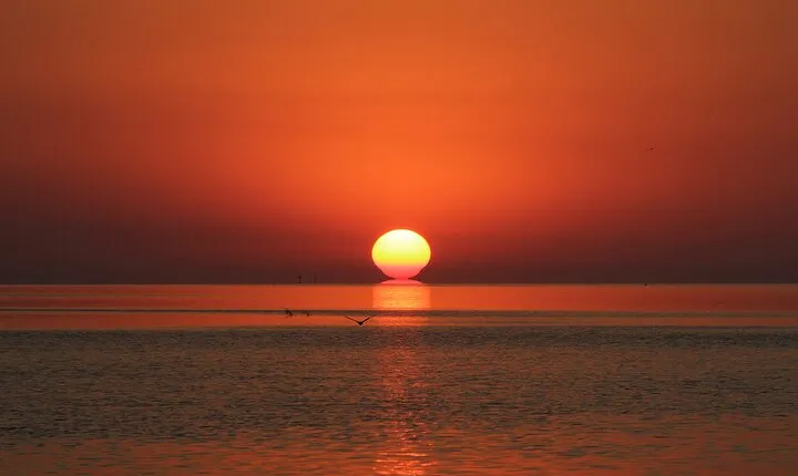 2 Hour Sunset Eco-Cruise