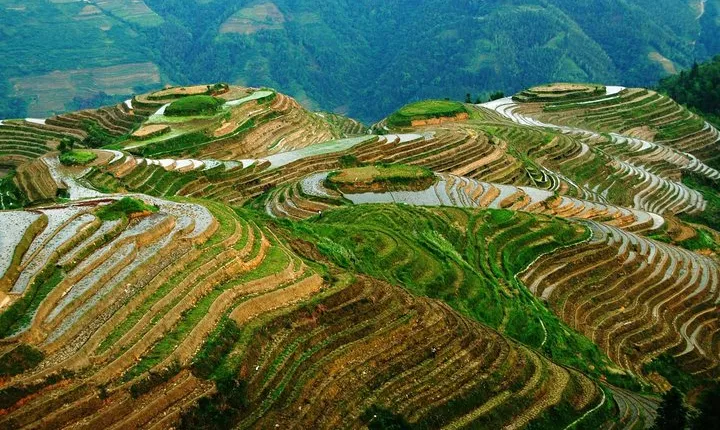 All Inclusive Private Day Tour of Longji Rice Terraces and Minority Village