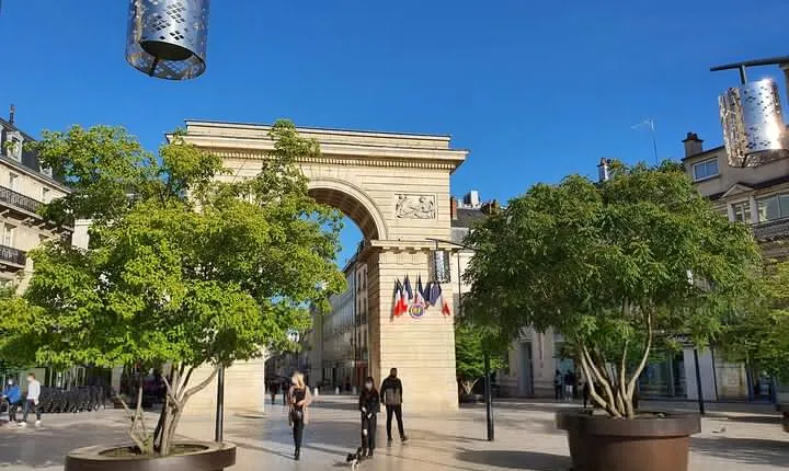 3 Hour Private Tour of Dijon - with CDG Airport Transfer