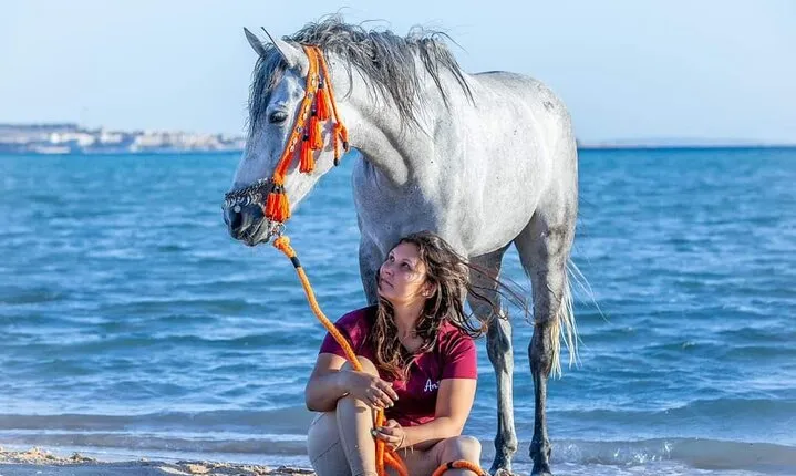 Horse Riding 2 Hours Desert and Sea adventure from Hurghada