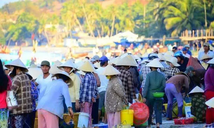 Phan Thiet to Nha Trang - Private Transfer