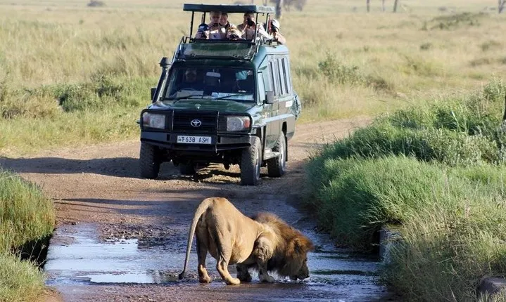 3 Days Private Safari to Samburu National Reserve