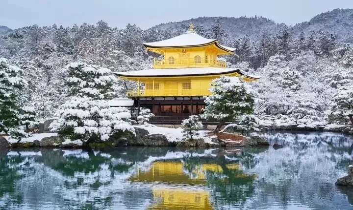 Golden Pavilion Kiyomizu Temple and Fushimi Inari Shrine Tour