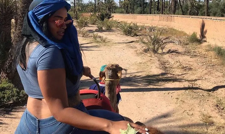 Marrakech Luxery sunset Camel Ride
