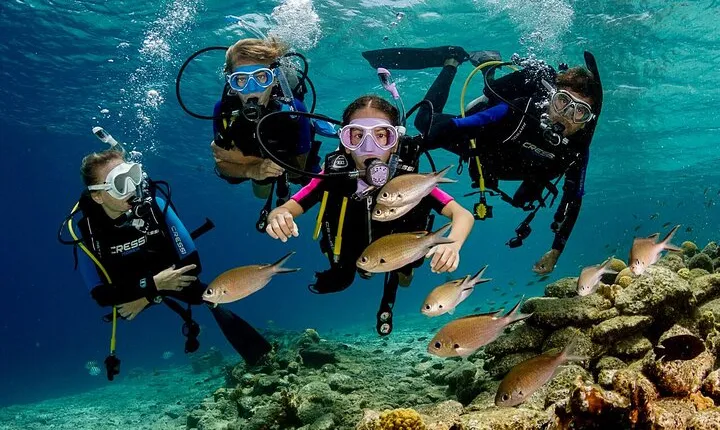 Marmaris Full Day Scuba Diving Two Dives With Lunch Hotel pickup